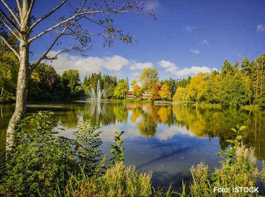 Blick auf den See Bad Dürrheim