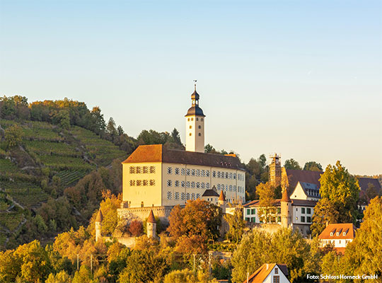 Krimidinner im schönen Schlosshotel Horneck in Gundelsheim